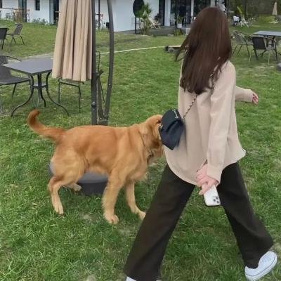 惊天救援