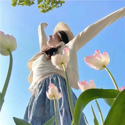 护花大臣